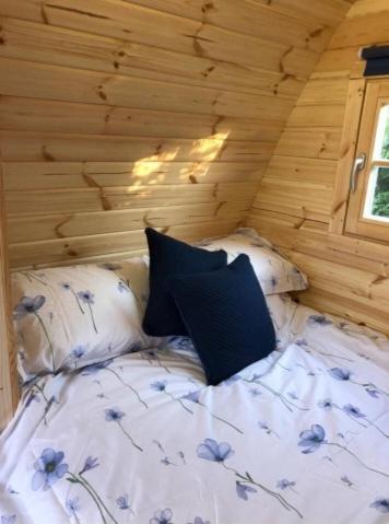 קרנארפון Pen Y Buarth Pod - Caravan Site מראה חיצוני תמונה